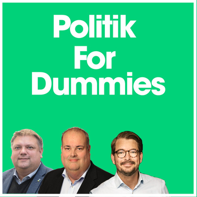 Politik for Dummies