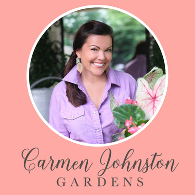 Carmen Johnston Gardens