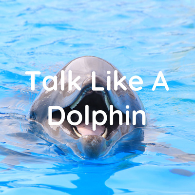 Talk Like A Dolphin