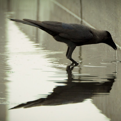 Stoicism for a Better Life