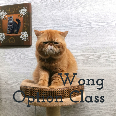 Wong Option Class