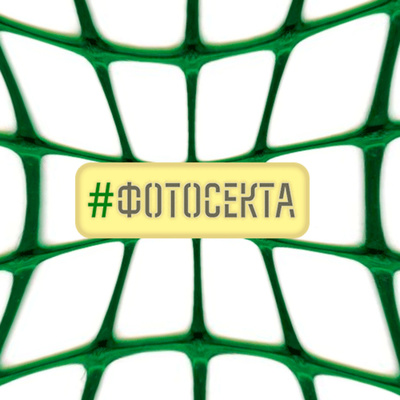 #фотосекта