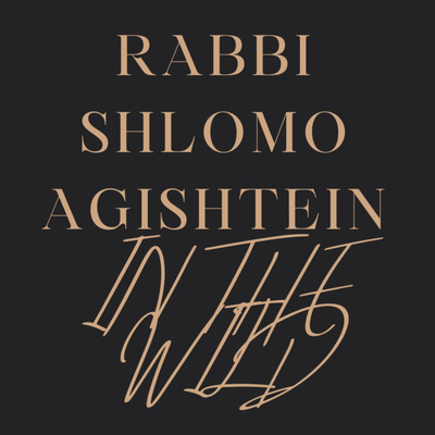 Rabbi Agishtein In The Wild