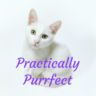 Practically Purrfect