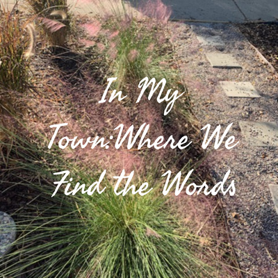 In My Town:
Where We Find the Words