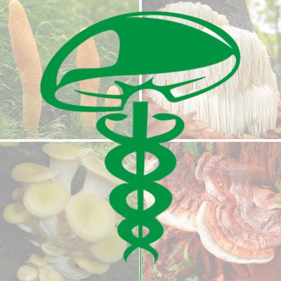 Curative Mushrooms