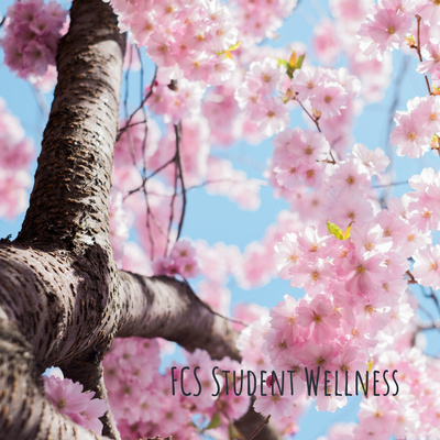 FCS Student Wellness: Strategies, Techniques & Tips