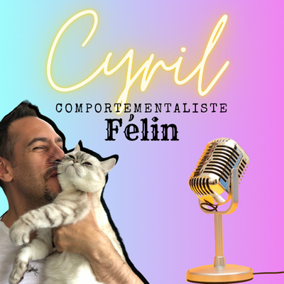 Le Mystère Miaou, un podcast de chats. 