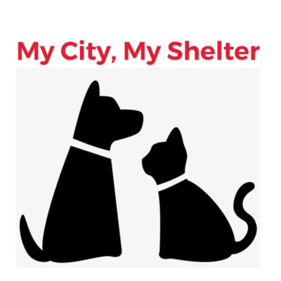 My City, My Shelter