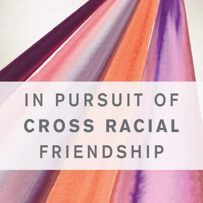 In Pursuit of Cross Racial Friendship