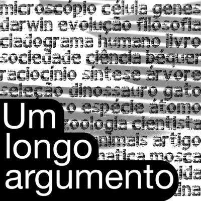 Um longo argumento