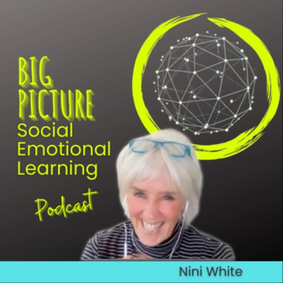BIG PICTURE Social Emotional Learning Podcast