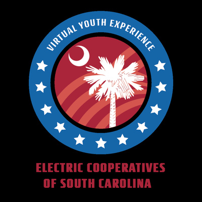 Virtual Youth Experience Podcast Challenge