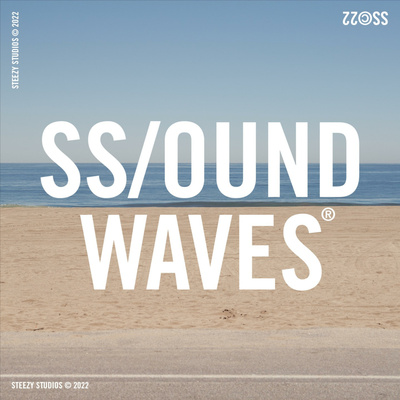 SS/OUND WAVES