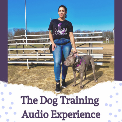 The Dog Training Audio Experience