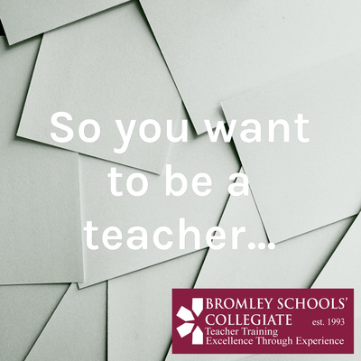 So you want to be a teacher...