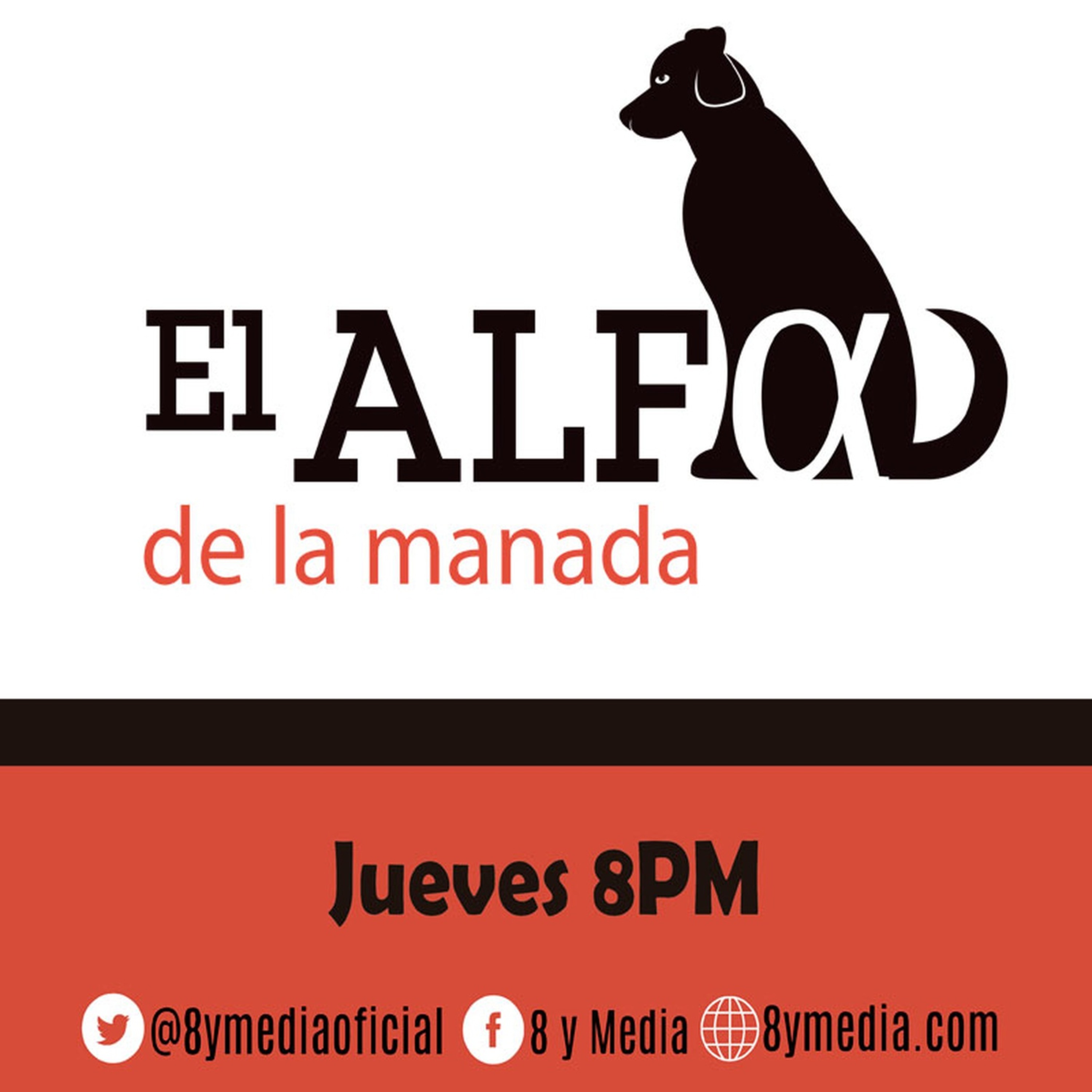 Como darle de comer a tu perro, donde, cantidad y diversos tips de alimentación y cuidados.