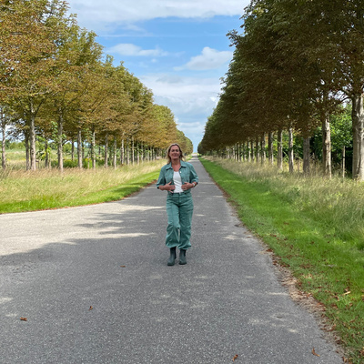 Binnenstebûten! De podcast over de Fryske politiek.