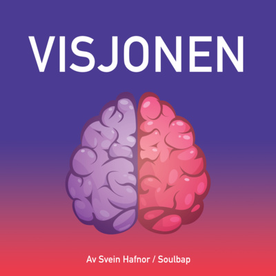 Visjonen