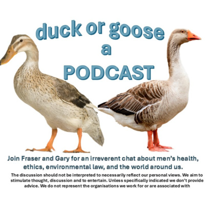 Duck or Goose - A Podcast