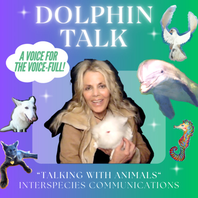 "Dolphin Talk"