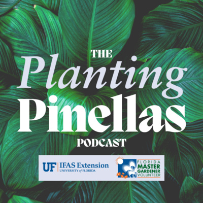 Planting Pinellas