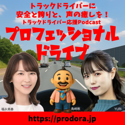 プロフェッショナルドライブ