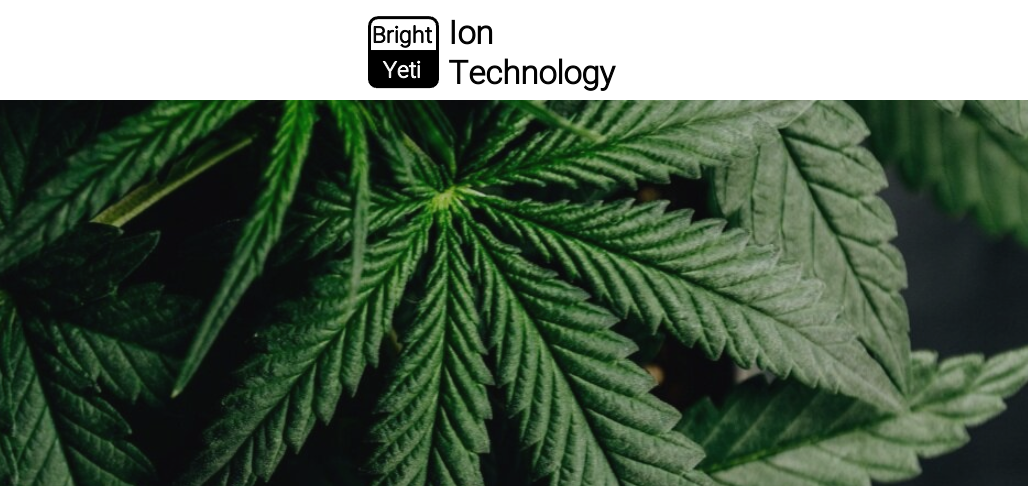 Bigger Cannabis Yields, Guaranteed – Not Just the Stuff of Legend Wholesale cannabis yields