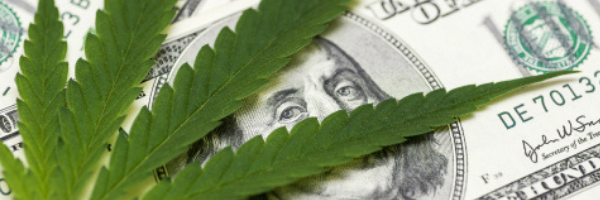 A Brief Overview of Buying and Selling Wholesale Cannabis Online Buying-Selling-Wholesale-Cannabis