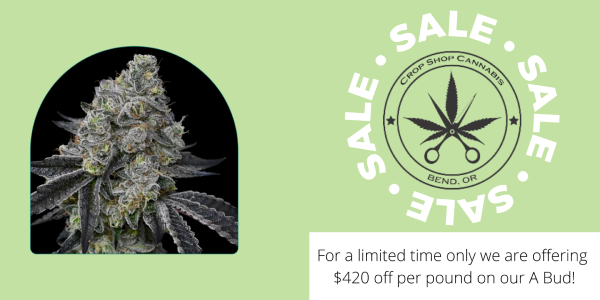 Crop Shop Cannabis Oregon 420 specials