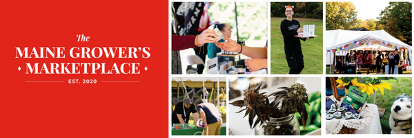 The Maine Grower’s Marketplace – the Best-Kept Secret for Maine Wholesale Cannabis Isn’t Really a Secret The Maine Grower’s Marketplace – the Best-Kept Secret for Maine Wholesale Cannabis Isn’t Really a Secret