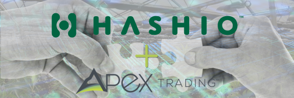 Hashio: The Rising ERP Champion for Wholesale Cannabis Business Hashio: The Rising ERP Champion for Wholesale Cannabis Business