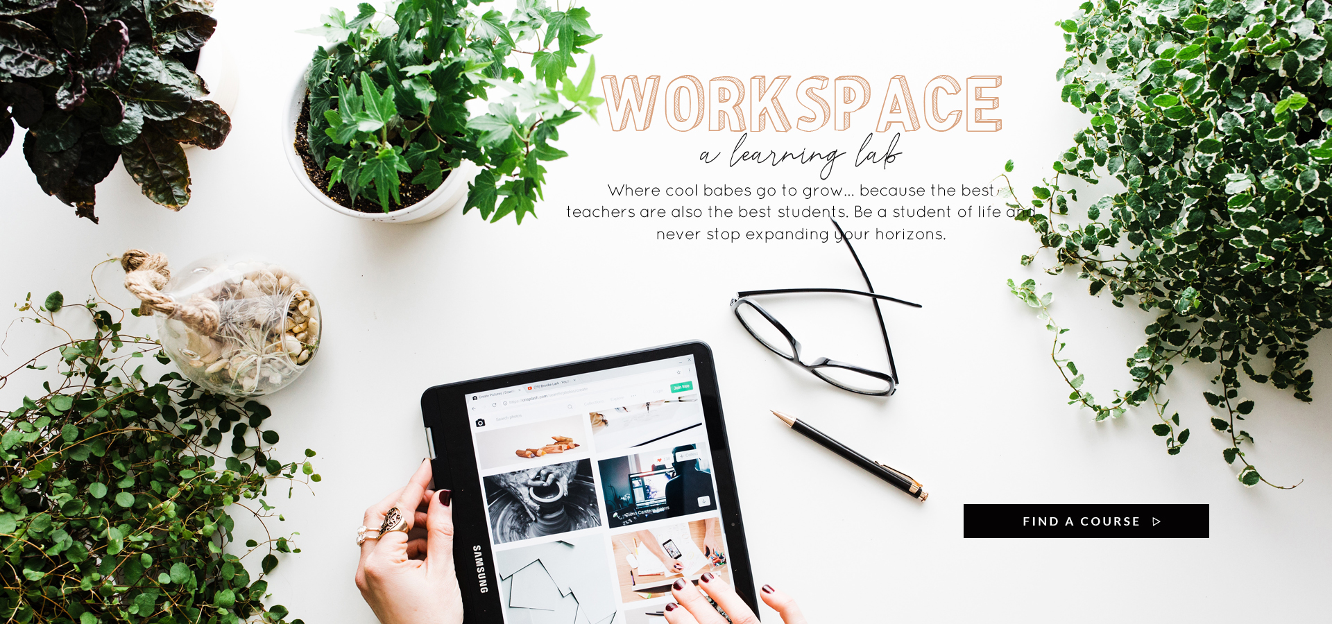 Holistic Fashionista Workspace