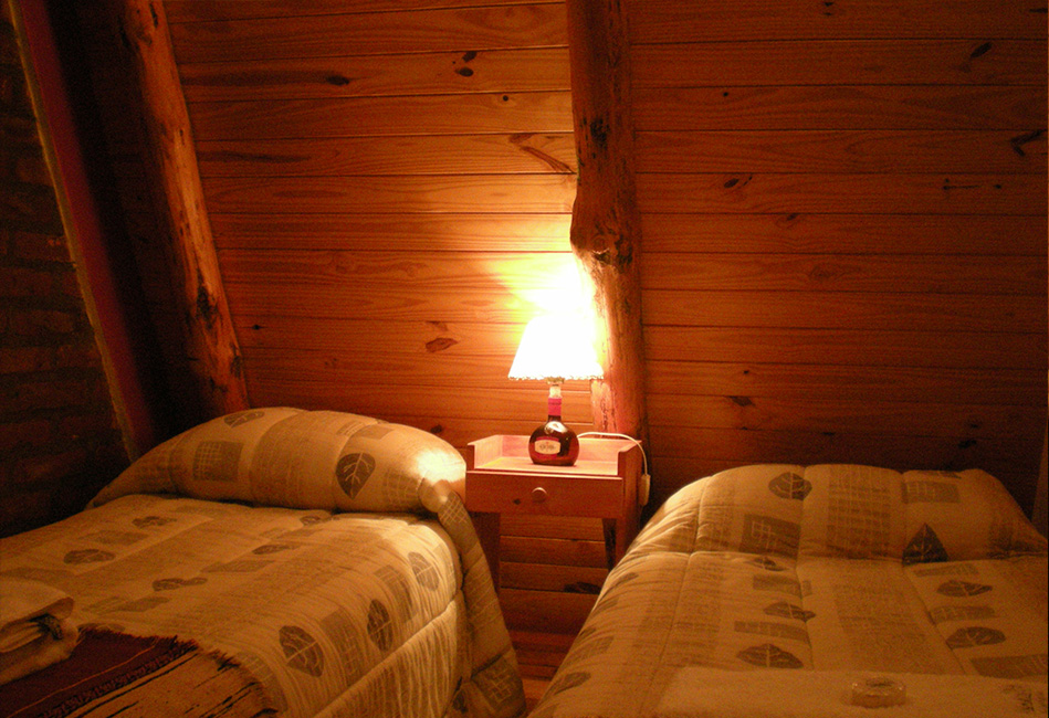 Imagen 9 Cabaña