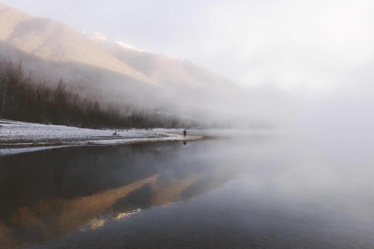 Alex Strohl