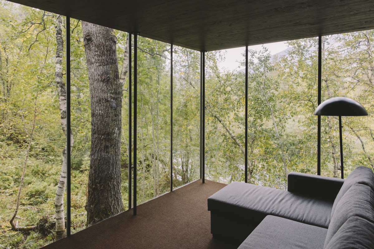Alex Strohl