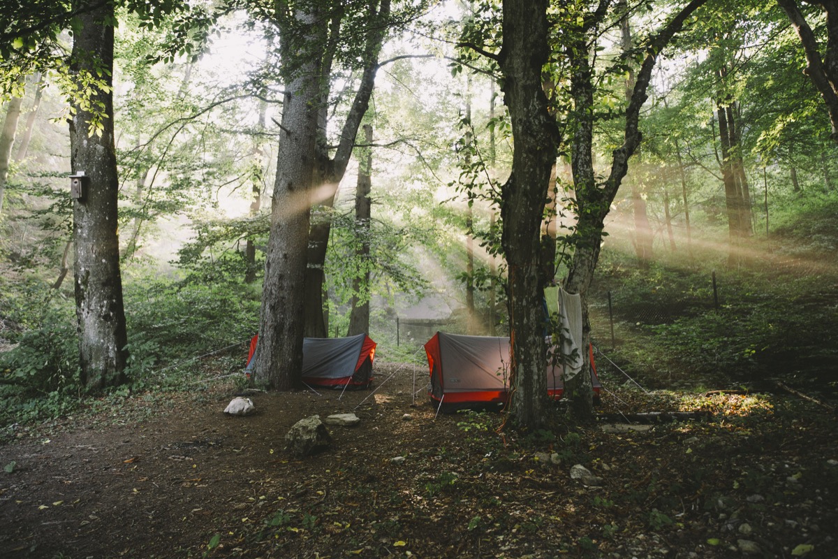 Alex Strohl