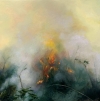 Controlled Burn 19 - World as Self by Artist Elsa Munoz