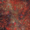 Free Radical 8 by Artist Sarupa Sidaarth