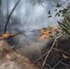 Controlled Burn 12 by Artist Elsa Mu&amp;ntilde;oz