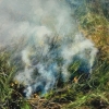 Controlled Burn 11 by Artist Elsa Mu&amp;ntilde;oz