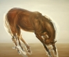 Horse by Artist 