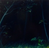 Selva Oscura 2 by Artist Elsa Munoz