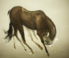 Horse Gesture Study by Artist 