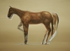 Horse Caballo by Artist Daniel Ochoa