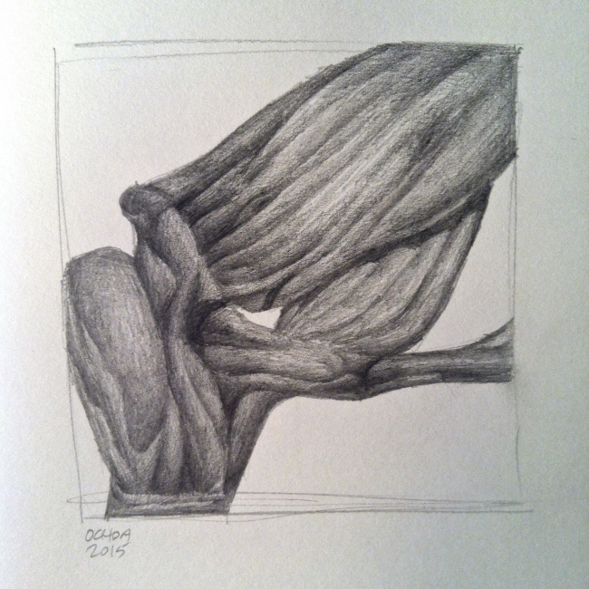 Sketch 6.14.15 by Artist Daniel Ochoa