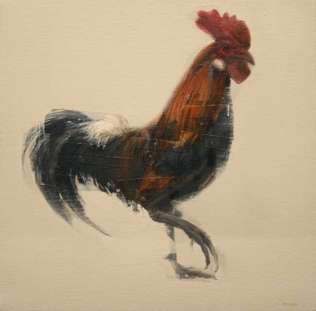 Rooster Parar by Artist Daniel Ochoa