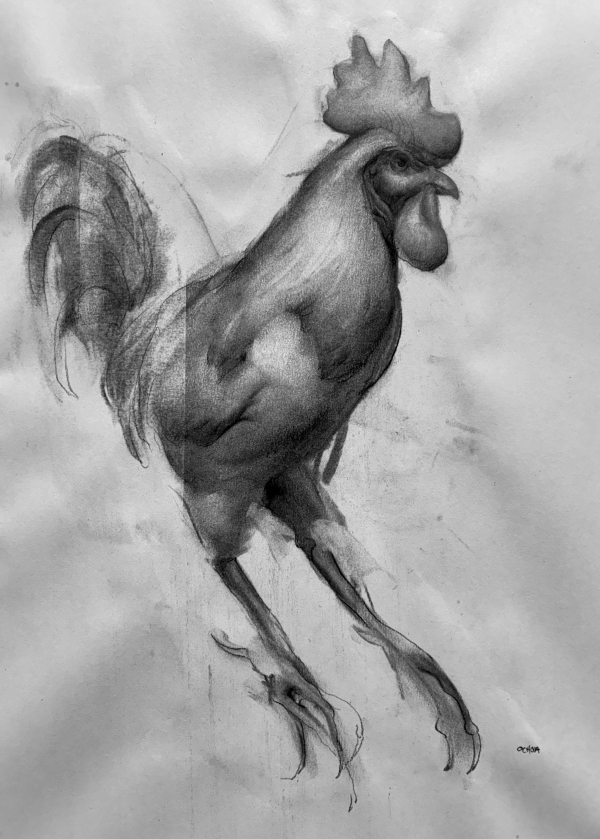 Animal 2-9-26 by Artist Daniel Ochoa