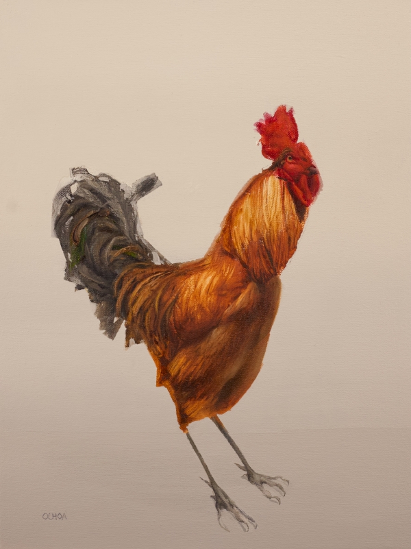 Animal 6-29-24 by Artist Daniel Ochoa