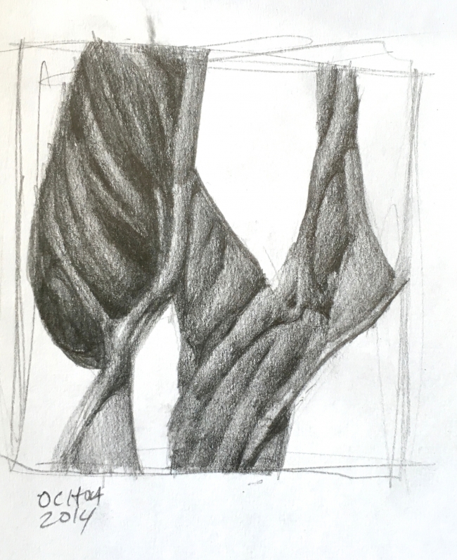 Drawing 8.5.14 by Artist Daniel Ochoa